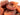 Dried Apricots (Unsulphered) - Nutty Delights