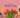 Mother’s Day Gift Guide 2026