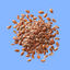 Seeds & Grains - Nutty Delights