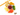 Selection Tray - Dried Fruits - Nutty Delights
