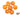 Candied Whole Clementine - Nutty Delights