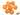 Candied Whole Clementine - Nutty Delights
