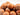 Raw Hazelnut in Shell - Nutty Delights