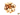 Raw Brazil Nuts - Nutty Delights