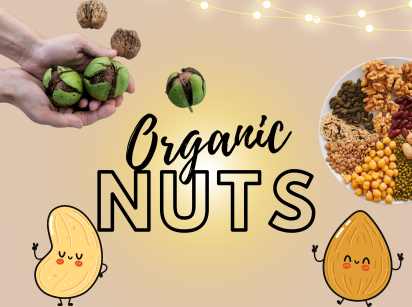 Nourishing Beginnings: Embracing a Healthier Lifestyle with Organic Nuts and Dried Fruits in the New Year